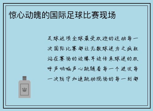 惊心动魄的国际足球比赛现场