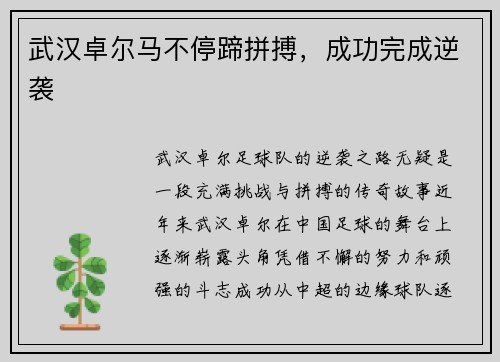 武汉卓尔马不停蹄拼搏，成功完成逆袭